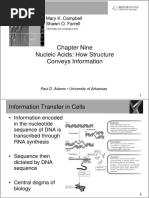 Nucleic Acids