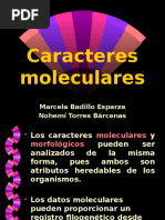 Caracteres Moleculares