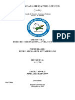 Tarea - 2 Derecho Internacional