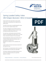 Safety Valve Srv1-2 Brochure