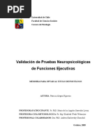 Validacion de Pruebas de Funciones Ejecutivas PDF