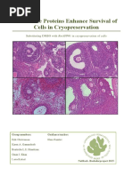 Antifreeze Proteins Enhance Survival of Cells in Cryopreservation - Substituting DMSO With RmAFP#1 in Cryopreservation of Cells 1.2