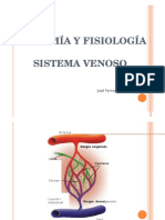 2 Anatomia Fisiologia Del Sistema Vascular