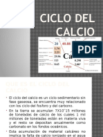 Ciclo Del Calcio