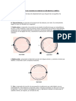 Clasificaciòn Muñoz (Figuras)