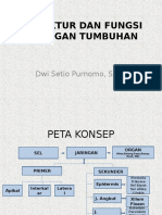 Pertemuan 3 Struktur Dan Fungsi Jaringan Tumbuhan