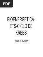 Bioenergetica Ets Ciclo de Krebs