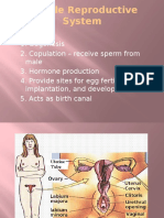 Female Reproductive System