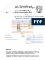 Pract 3 Succinato Deshidrogenasa16