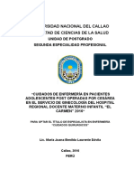 Informe de Experiencia Profesional María