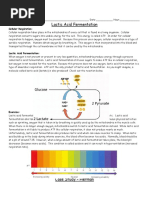 Casestudy Lacticacidfermentation