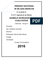 Informe Cationes II Grupo