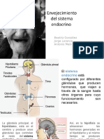 Presentación Sistema Endocrino