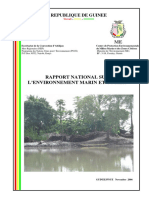 National Report Guinea