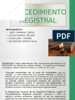 El Procedimiento Registral Diapositivas