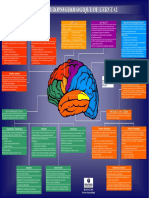 Carte Du Cerveau