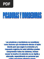 Picaduras y Mordeduras CEFOCALE PDF