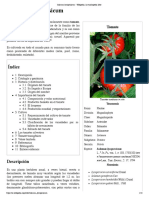 Tomate PDF