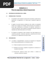 Formato N°11 Plan de Seguridad en Obra