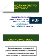 Cultivo Protegido Na Olericultura