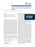 Immune Mechanisms of Protection: Can Adjuvants Rise To The Challenge?