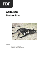 Carbunco Sintomatico