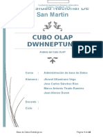 Cubo Olap Dwhneptuno