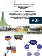 Trabajo de Investigación-Extracción de Colorantes Naturales