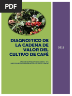 Diagnostico de La Cadena de Café