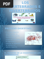 La Digestión en Los Vertebrados e Invertebrados