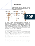 Sistema Oseo