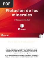 Flotacion