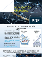 COMUNICACIÓN NEURONAL-diapos Monografia Miguel Zapata