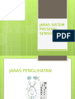 Jaras Sistem Presepsi Sensorik