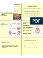 Nematelmintos PDF