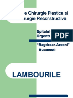 LAMBOURI PPT Expandarea PPT Cicatrizarea