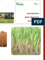 Miscanthus PDF