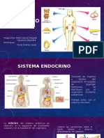 Sistema Endrocrino Presentación