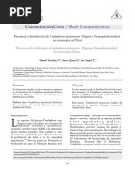 Presencia y Distribucion de Cotylophorum