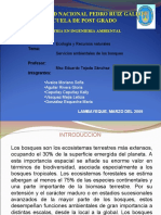 Servicios Ambientales - Exposicion