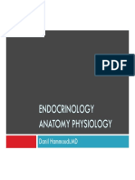 Endocrinology Anatomy Physiology