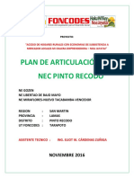 Plan Articulacion Nec Pinto Recodo