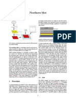 Northern Blot Wiki