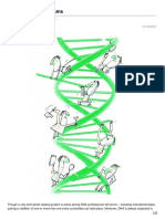 DNA Repair Mechanisms