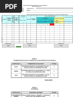 Formato Matriz ACHS