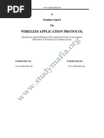 CSE Wireless Application Protocol Report