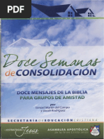 12 Semanas de Consolidacion PDF