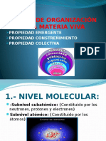 Niveles de Organización de La Materia Viva