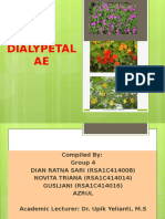 Grup 4 Bio PGMIPAU '14 - Dialypetalae (Dian Ratna Sari, Novita Triana, Gusliani, Azrul)