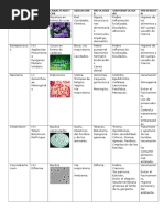 Cuadro de Bacterias